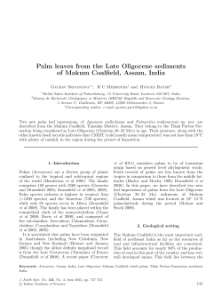 Palm leaves from the Late Oligocene sediments of Makum Coalfield