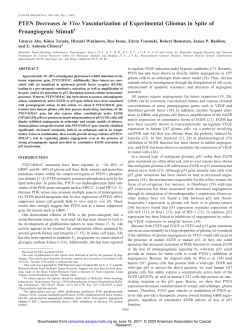 PTEN Decreases in Vivo Vascularization of