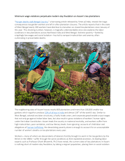 Minimum wage violations perpetuate modern