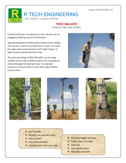 Coconut / Palm Tree Climber