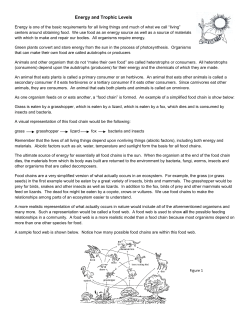 Energy and Trophic Levels