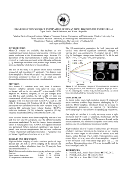 High-resolution micro-CT examination of human bone