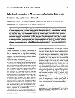 Induction of germination in Myxococcus xanthus