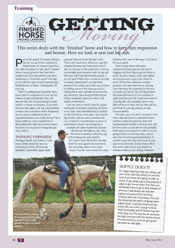 Moving - Michael Langford Western Horse Training