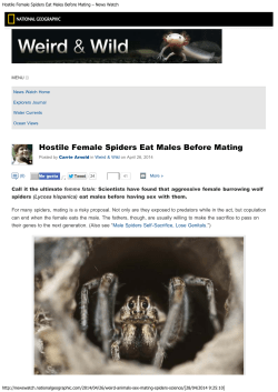 Hostile Female Spiders Eat Males Before Mating &ndash; News Watch