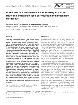 In situ and in vitro senescence induced by KCl stress: nutritional