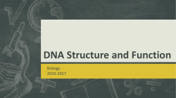 DNA Structure and Function
