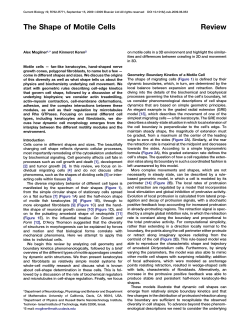 The Shape of Motile Cells - Courant Institute of Mathematical Sciences
