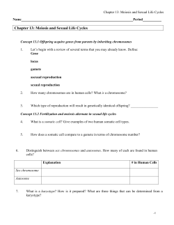 Chapter 13: Meiosis and Sexual Life Cycles