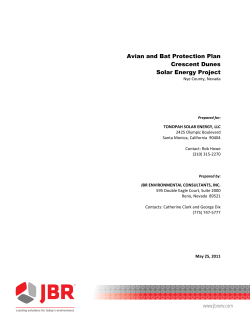AVIAN AND BAT PROTECTION PLAN