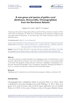 A new genus and species of golden coral