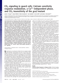 CO2 signaling in guard cells: Calcium sensitivity response