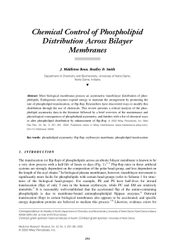 Chemical Control of Phospholipid Distribution Across Bilayer