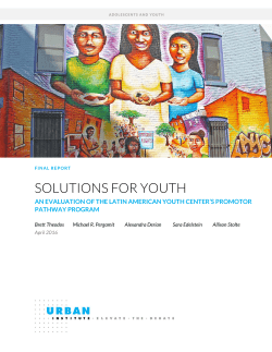 Solutions for Youth: An Evaluation of the Latin