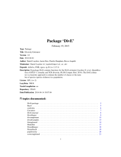 Package `DivE`
