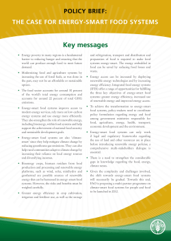 Policy Brief: The Case for Energy Smart Food Systems