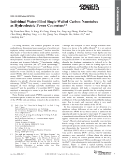 Individual Water-Filled Single-Walled Carbon Nanotubes as