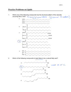 Practice Problems on Lipids