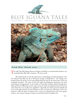 Blue Iguana Tales - Blue Iguana Recovery Program