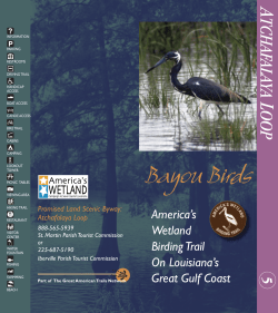 Atchafalaya Loop - Louisiana Travel