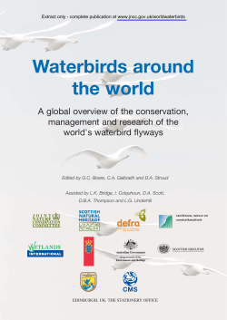 The migration routes of waterfowl and their protection in