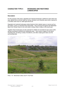 character type 5 degraded and restored landscapes