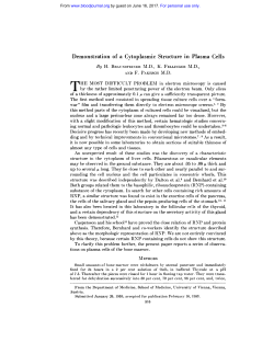 Demonstration of a Cytoplasmic Structure in Plasma Cells