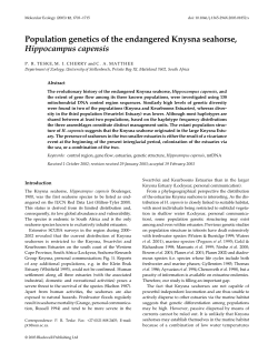 Population genetics of the endangered Knysna seahorse