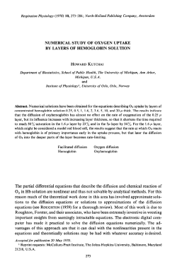 The partial differential equations that describe the