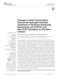 Changes in Gene Transcription Induced by Hydrogen Peroxide