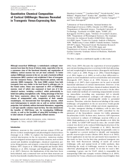 Quantitative Chemical Composition of Cortical