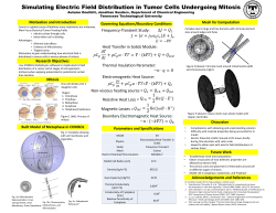 Simulating Electric Field Distribution in Tumor Cells Undergoing