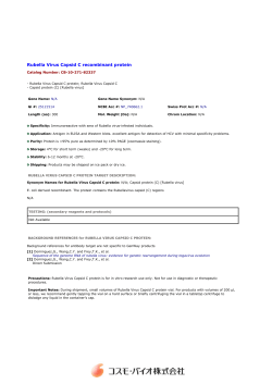 Rubella Virus Capsid C recombinant protein