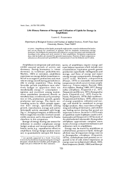 Life History Patterns of Storage and Utilization of Lipids for Energy in