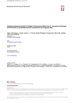 A Bacteriophage-Acquired O-Antigen Polymerase