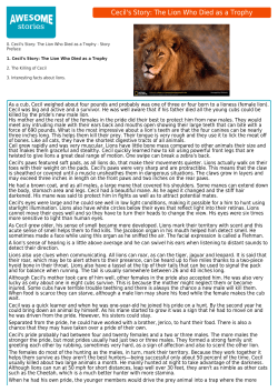 Cecil: The Lion Who Died for a Wall