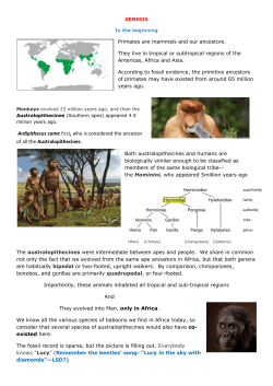 Ardipithecus came first, who is considered the ancestor of all the
