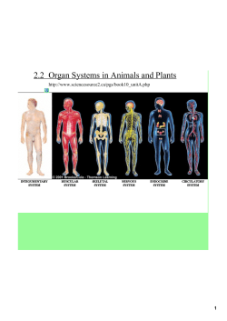 2.2 Organ Systems in Animals and Plants
