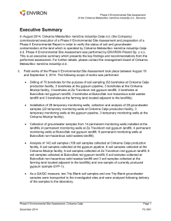 Executive Summary