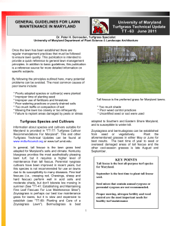 General Guidelines For Lawn Maintenance In Maryland