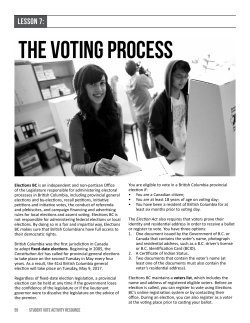 the voting process