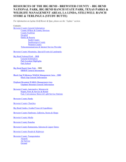 brewster county – big