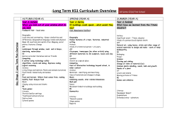 Long Term KS1 Curriculum Overview