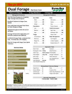 Dual Forage SCA - Dyna
