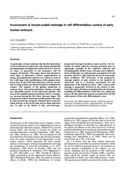 Involvement of oocyte-coded message in cell