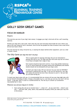 Golly Gosh great games 07
