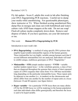 DNA Fingerprinting lab recitation notes