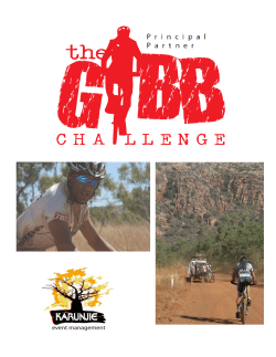 Executive Summary - The Gibb Challenge