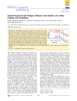 Solvent-Exposed Salt Bridges Influence the Kinetics of &alpha;