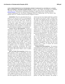 Long-Term Persistence of Microorganisms in Geological Materials